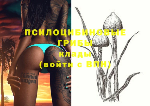 мескалин Баксан