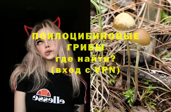 мескалин Баксан