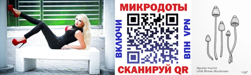 Галлюциногенные грибы Psilocybe  кракен вход  Всеволожск 