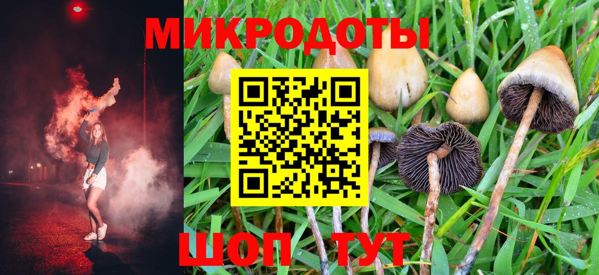 Псилоцибиновые грибы Cubensis  купить наркотики цена  Всеволожск  Вход с VPN 