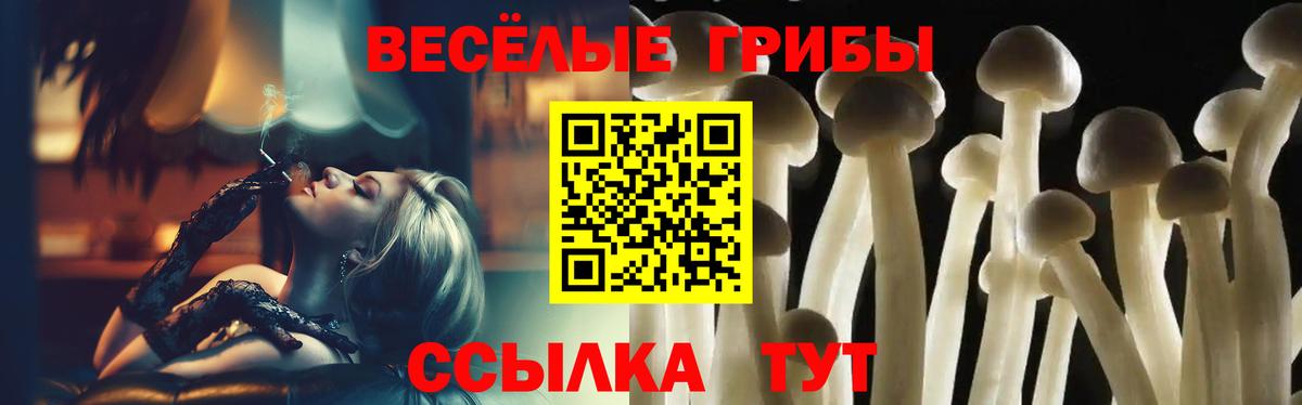 Псилоцибиновые грибы мицелий Всеволожск